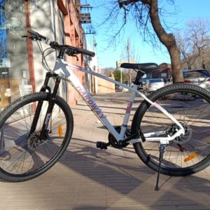 BICICLETA HARDWAY MTB R29 21V
