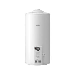 TERMOTANQUE LONGVIE 50 LTS T3050CF CONEX.INF